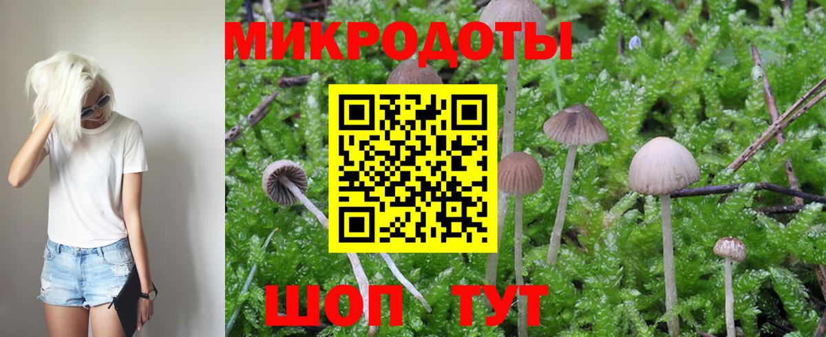 Псилоцибиновые грибы MAGIC MUSHROOMS Рузаевка
