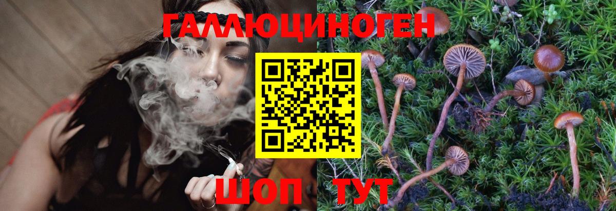 Рузаевка  Псилоцибиновые грибы Psilocybe  Вход с VPN 